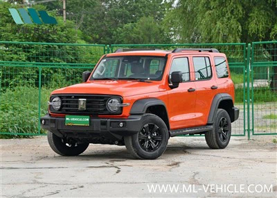 2024 GMW Tank 300 Hi4-T